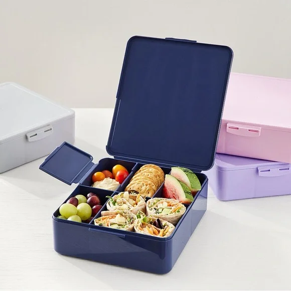Pottery Barn Kids (PBK) All-in-One Bento Boxes - Picture 11 of 12